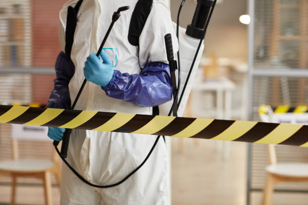 Professional Sewage Cleanup technician working in Moline, IL