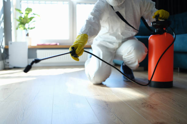 Trusted Sewage Cleanup service in Moline, IL - Four Month Blood Cleanse